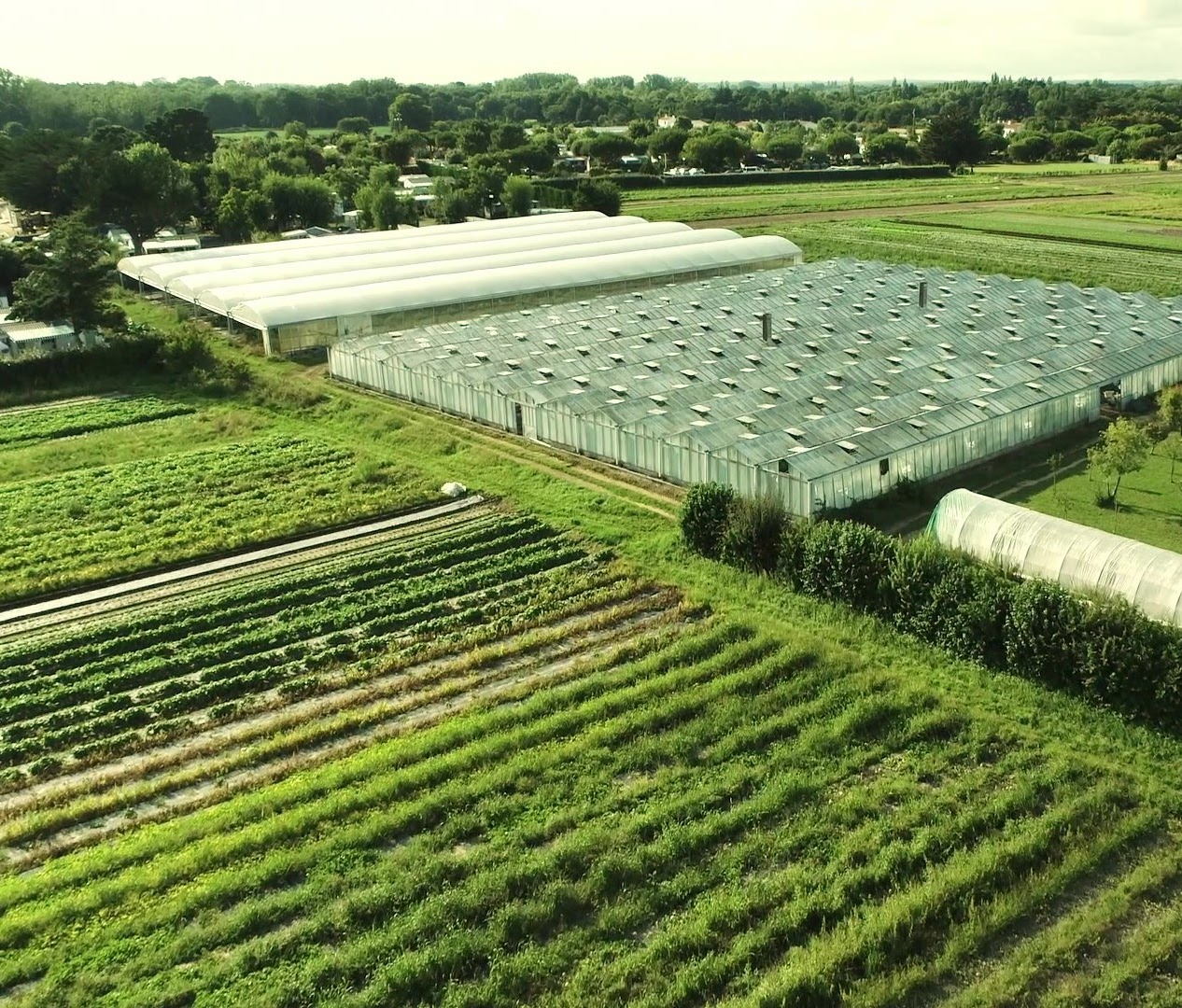 petitjardin_vue